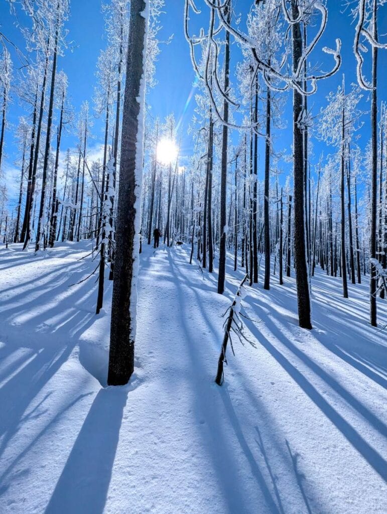 Backcountry Skiing Big Creek Burned Area Cascade Idaho