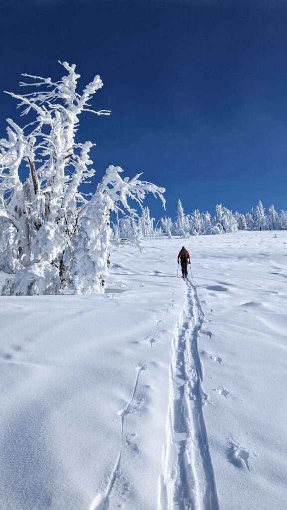 Backcountry Skiing Sargeants Ridge McCall Idaho
